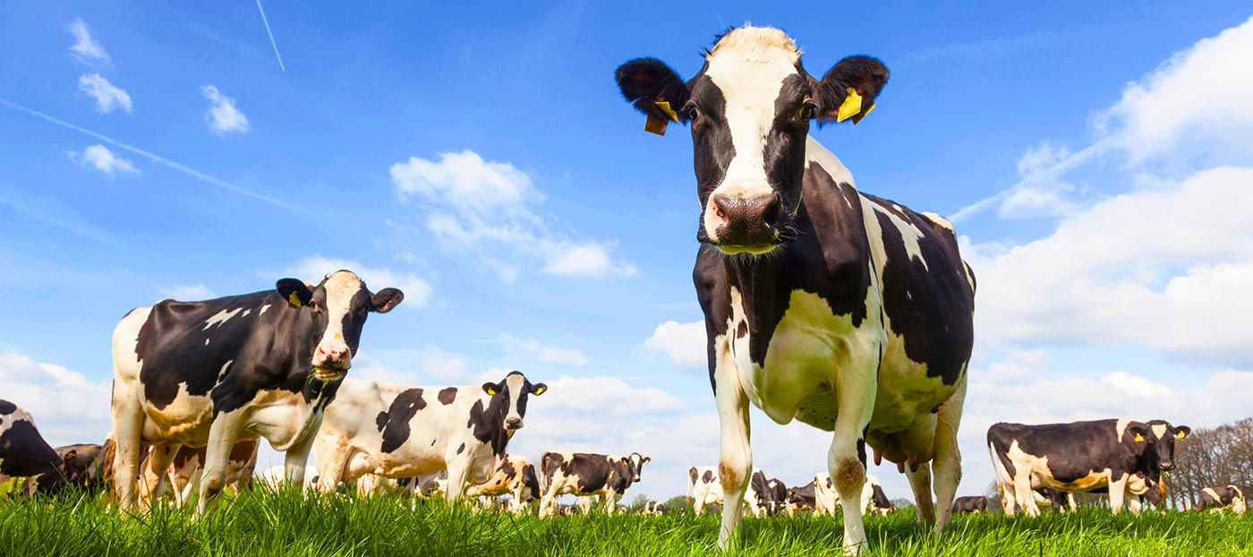 AG Compliance Solutions